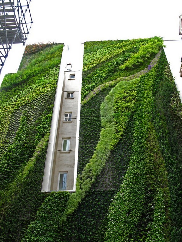 vertical garden by patrick blanc