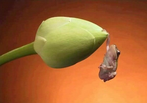 I always thought good photos were like good jokes. If you have to explain it, it just isn't that good.