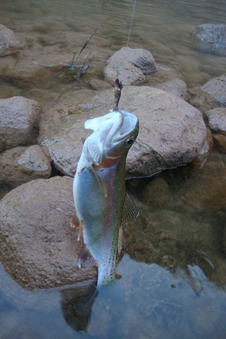 [grandcanyon0241.jpg]