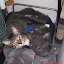 Another Peaceful family, Sunday cuddling together - August 15, 2010