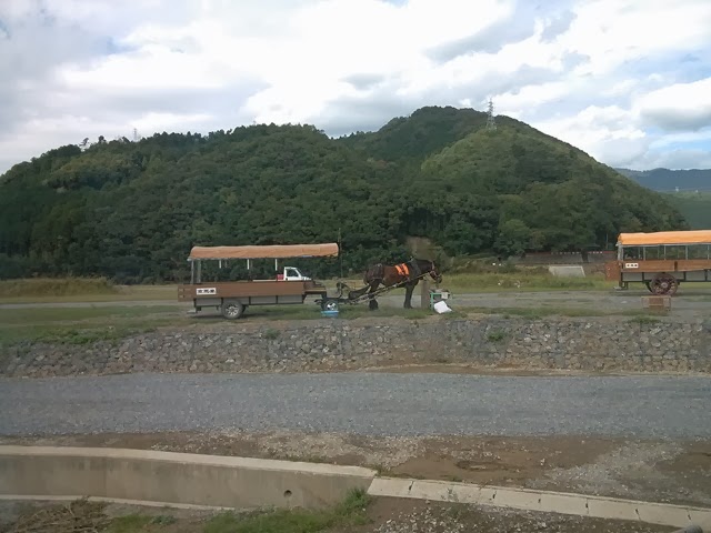 [IMG_20131010_134331%255B3%255D.jpg]