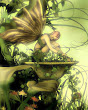 Fairy And Nature