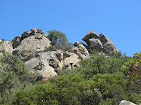 IMG_9008.JPG