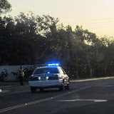 IMG_4080.JPG