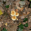 PA030003.JPG