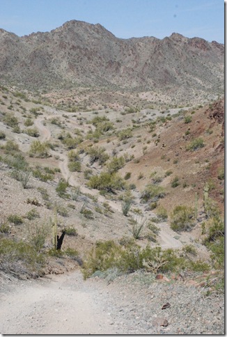 03-07-13 B Quinn Pass Quartzsite 015