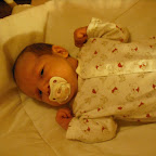 DSCF0156.JPG