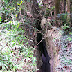 20060819_22_kenting_145.jpg
