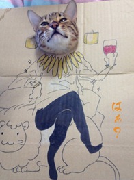 Best Cat Cosplay Ever!