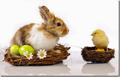 easter-promotions