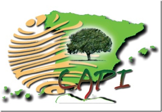 Logo CAPI