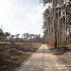 niebieskim szlakiem... dsc07176.jpg