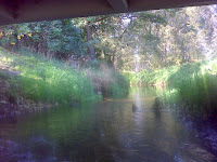 DSC07159.JPG Photo