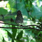 IMG_2567.JPG