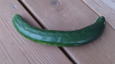 2014-06-11 07.12.58.jpg