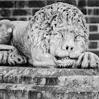 JC38516-R1-041-19-vF-bw.jpg