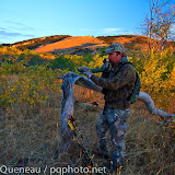 A bowhunter tries to convince bull elk to join him on an early October morning in Montana's Castle Mountains.