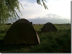 View of Mt Ararat from the tent