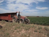 DSCF1378.JPG