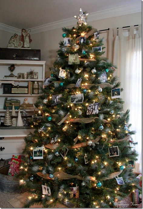 tree 6