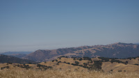 DSC02989.jpg