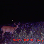 MDGC0035.JPG