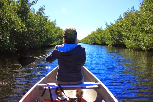 Canoing Collier Seminole3