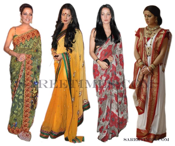 [Celina_Jaitley_Designer_Saris%255B3%255D.jpg]