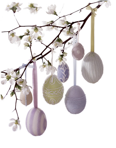 Sugar eggs made into ornaments and hung from a quince branch with ribbons.