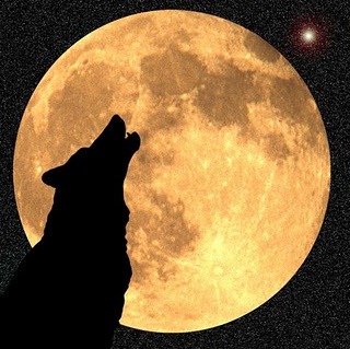 [wolf_moon%255B4%255D.jpg]