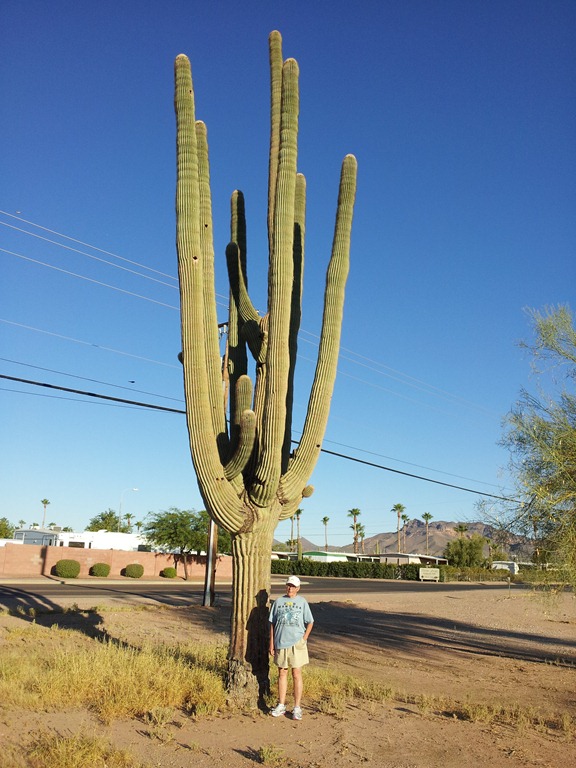 [Lrg%2520Saguaro%2520Rockey%2520Apache%2520Junction%255B5%255D.jpg]