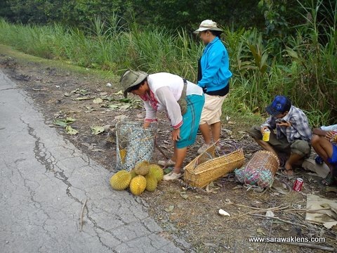 [durians_sarawak_roadside_sellers_3%255B2%255D.jpg]