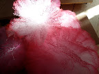 I loved the way the light shined on the tulle poms.