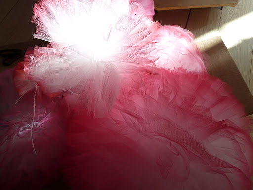 I loved the way the light shined on the tulle poms.