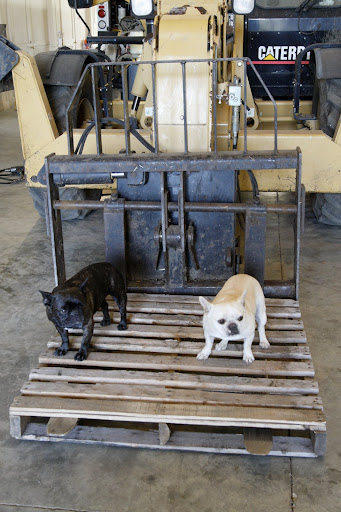 Lets check out the lift mechanism - raise 'er up, Steve!
