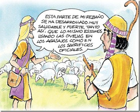 Imagen 7
