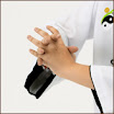 ตรีลัญจกร‏,ท่าบำรุงอวัยวะภายใน 8 ท่าพื้นฐาน