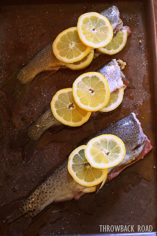 [trout%2520021%255B5%255D.jpg]