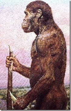 australopithecus12012