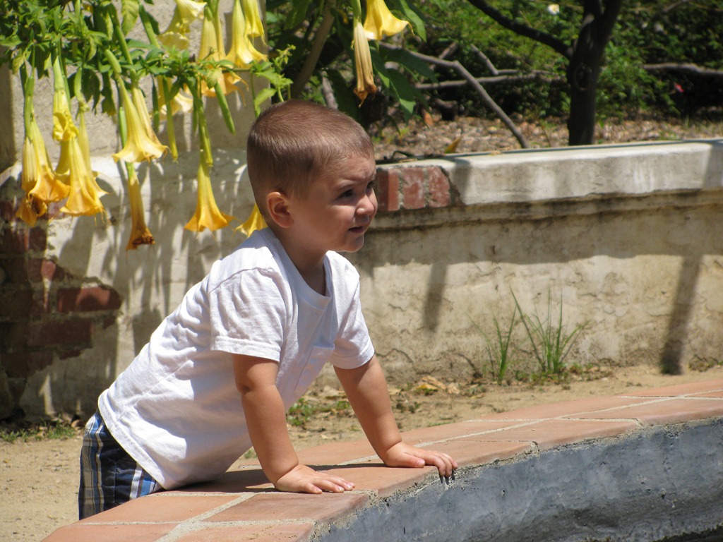 [IMG_3408%255B4%255D.jpg]