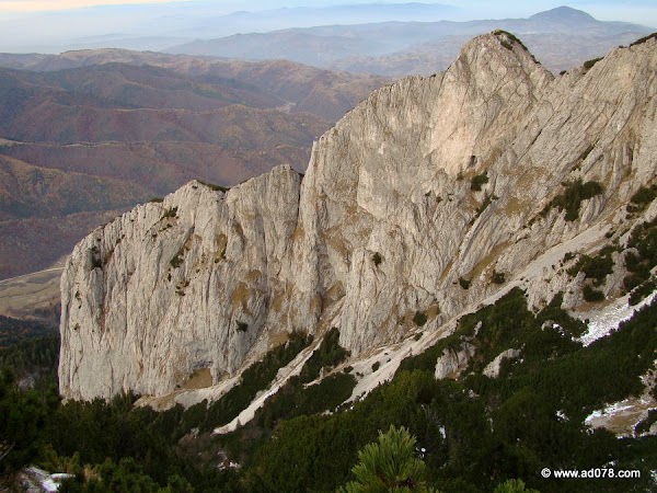 cioranga ramura de sus-41.JPG