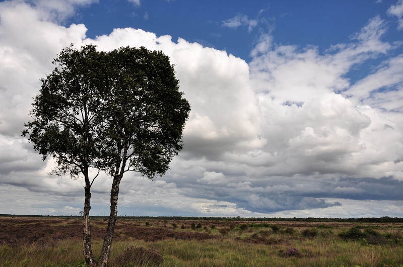 [wide%2520open%255B3%255D.jpg]