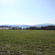 DSC00320.JPG