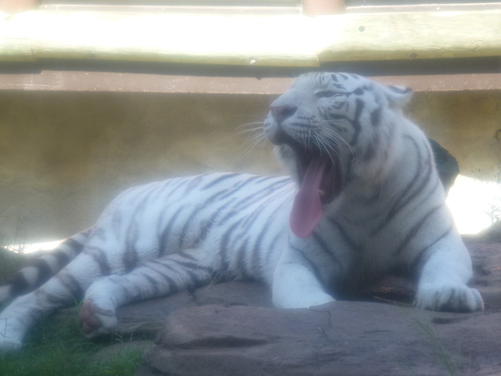 [P1050987%255B3%255D.jpg]