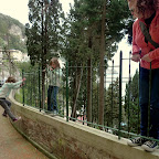 Everyone hops the locked fence to get a better view.
