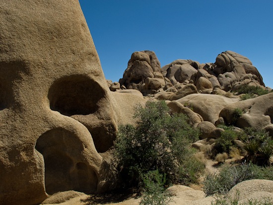 Joshua Tree NP Skull Rock