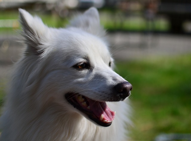 [DSC_0155%255B3%255D.jpg]