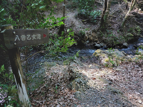 八曽乙女滝