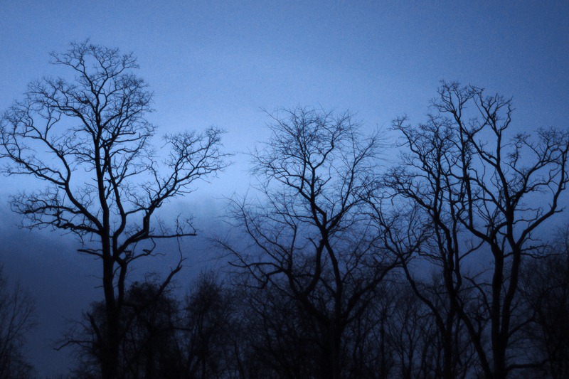 [DSC_5923%2520copy%25202%255B14%255D.jpg]
