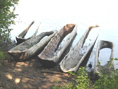 Plimoth Plant hollowed out tree boats1 Plimoth Plant hollowed out tree boats1